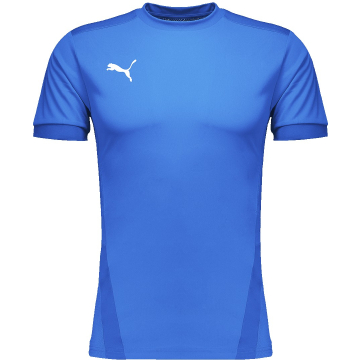 PUMA teamGOAL 23 Jersey Heren