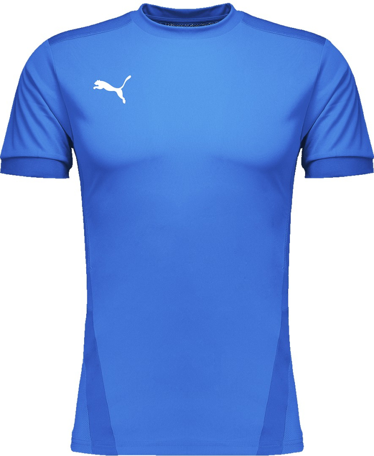 PUMA teamGOAL 23 Jersey Heren
